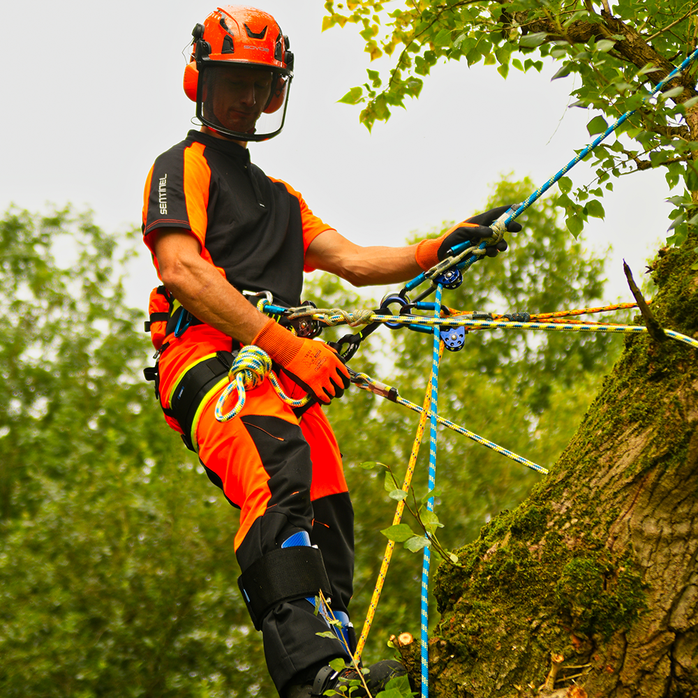  Arborist Climbing Equipment Image