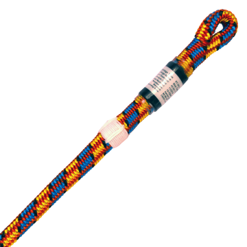 Blue Tongue - 35m Spliced 35m UK Spliced Eye