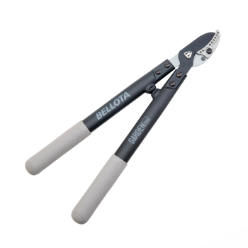  Pruning Tools Image